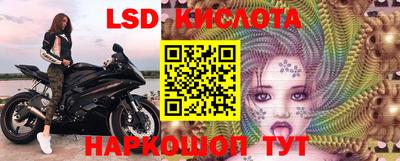 стаф Кимры