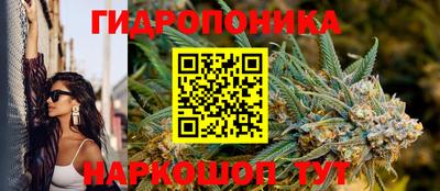 гашиш Кандалакша
