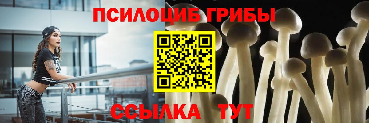 Новомосковск  Псилоцибиновые грибы MAGIC MUSHROOMS  Вход с VPN 