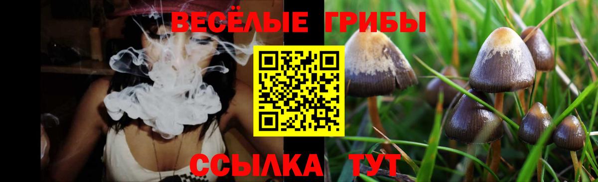 Галлюциногенные грибы прущие грибы Новомосковск